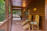198 Monarch Butterfly - Photo 35