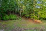 198 Monarch Butterfly - Photo 46