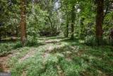 0 Wildcat Bridge Road - Photo 19