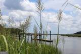 0 Jerico Marsh Road - Photo 6