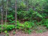 LOT 17 Misty Mountain Trail - Photo 4