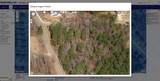 4218 Flat Rock Road - Photo 4