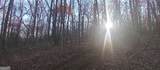0 Lower Sassafras Parkway - Photo 11
