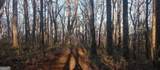 0 Lower Sassafras Parkway - Photo 12