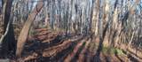 0 Lower Sassafras Parkway - Photo 13