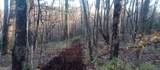 0 Lower Sassafras Parkway - Photo 15