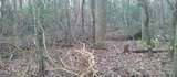 0 Lower Sassafras Parkway - Photo 17