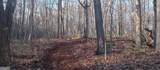 0 Lower Sassafras Parkway - Photo 19