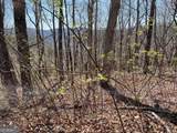 274 Andes Ridge - Photo 46