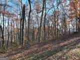 274 Andes Ridge - Photo 52