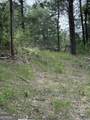 680 Fouche Gap Road - Photo 10