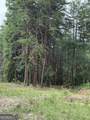 680 Fouche Gap Road - Photo 12