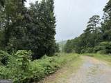 680 Fouche Gap Road - Photo 2