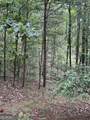 680 Fouche Gap Road - Photo 21