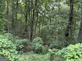 680 Fouche Gap Road - Photo 4