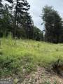 680 Fouche Gap Road - Photo 5