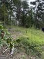 680 Fouche Gap Road - Photo 6