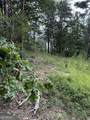 680 Fouche Gap Road - Photo 8
