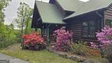 38 Old Blue Trail - Photo 2