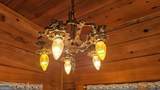 38 Old Blue Trail - Photo 46
