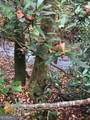 0 Allen Cove Road - Photo 6