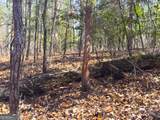 0 Laurel Branch Road - Photo 10