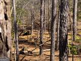 0 Laurel Branch Road - Photo 11