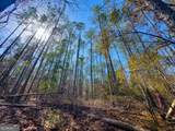 0 Laurel Branch Road - Photo 13