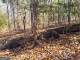 0 Laurel Branch Road - Photo 2