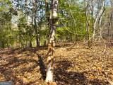 0 Laurel Branch Road - Photo 9