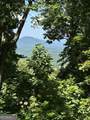 LT 64/65 Rocky Knob Estates - Photo 9