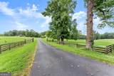 338 Black Road - Photo 53