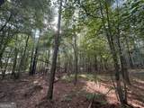 334 Oconee Forest Road - Photo 12