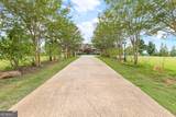 2932 Highway 124 - Photo 24