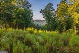 LOT 290 Anglers Ridge Road - Photo 1