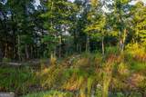 LOT 290 Anglers Ridge Road - Photo 10