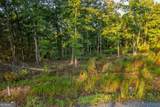 LOT 290 Anglers Ridge Road - Photo 11