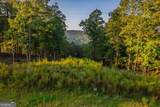 LOT 290 Anglers Ridge Road - Photo 12