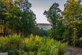 LOT 290 Anglers Ridge Road - Photo 9