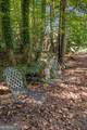 1895 Oak Tree Hollow - Photo 26