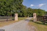 1167 Clopine Lake Road - Photo 12