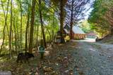 35 Wunder Bear Ridge Road - Photo 4
