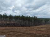 0 Johnson Mountain Road - Photo 11