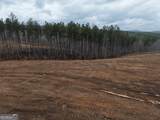 0 Johnson Mountain Road - Photo 12