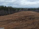 0 Johnson Mountain Road - Photo 13