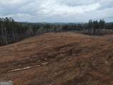 0 Johnson Mountain Road - Photo 14