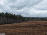 0 Johnson Mountain Road - Photo 4