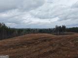 0 Johnson Mountain Road - Photo 6