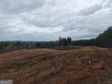 0 Johnson Mountain Road - Photo 7
