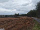 0 Johnson Mountain Road - Photo 8